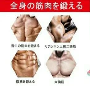 トレーニングベンチ インクラインベンチ 可変式フラットベンチ