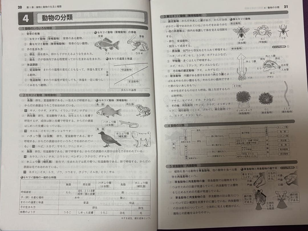 【市進教育グループ】 必修シリーズまとめ