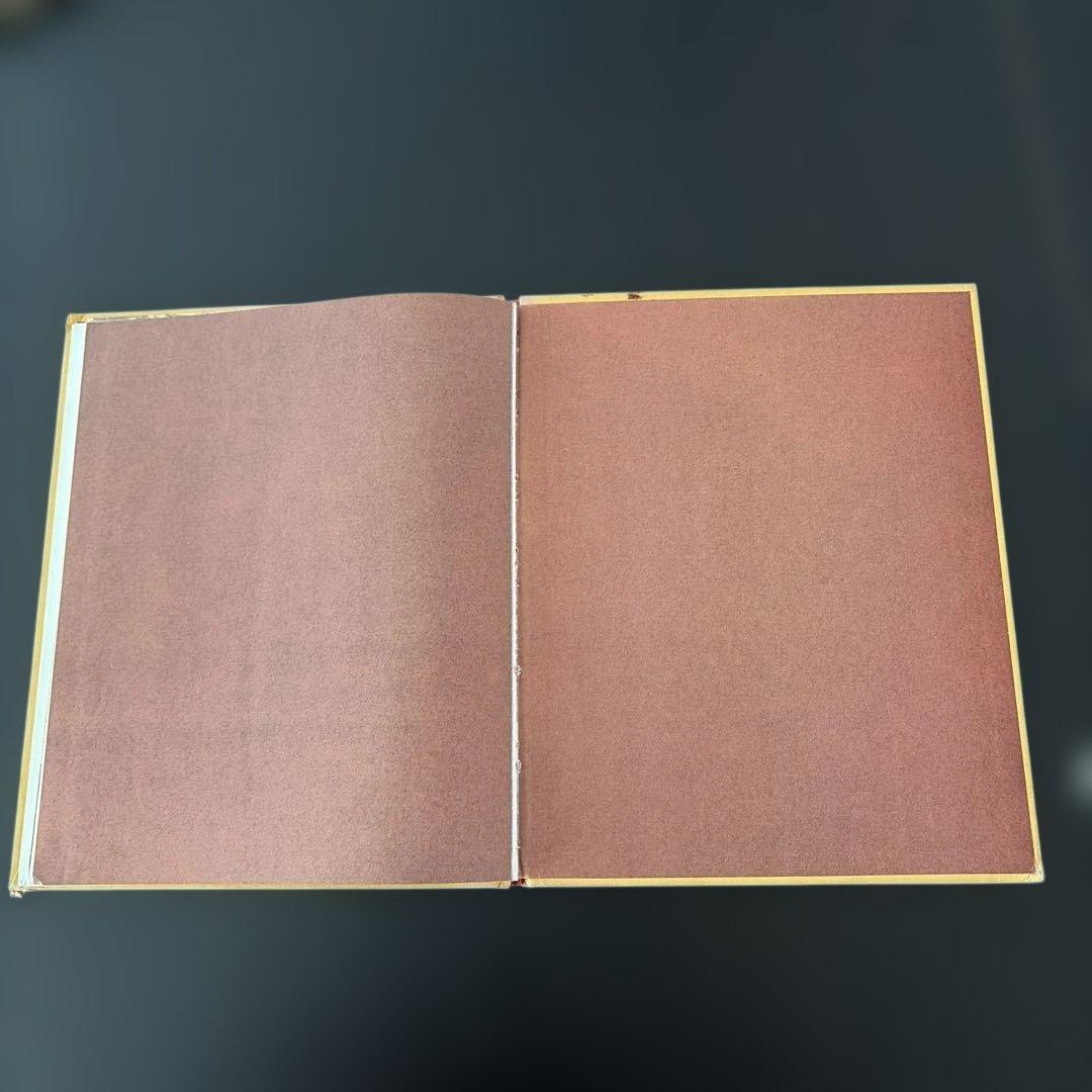 絵本・児童書 Alexander and the Magic Mouse