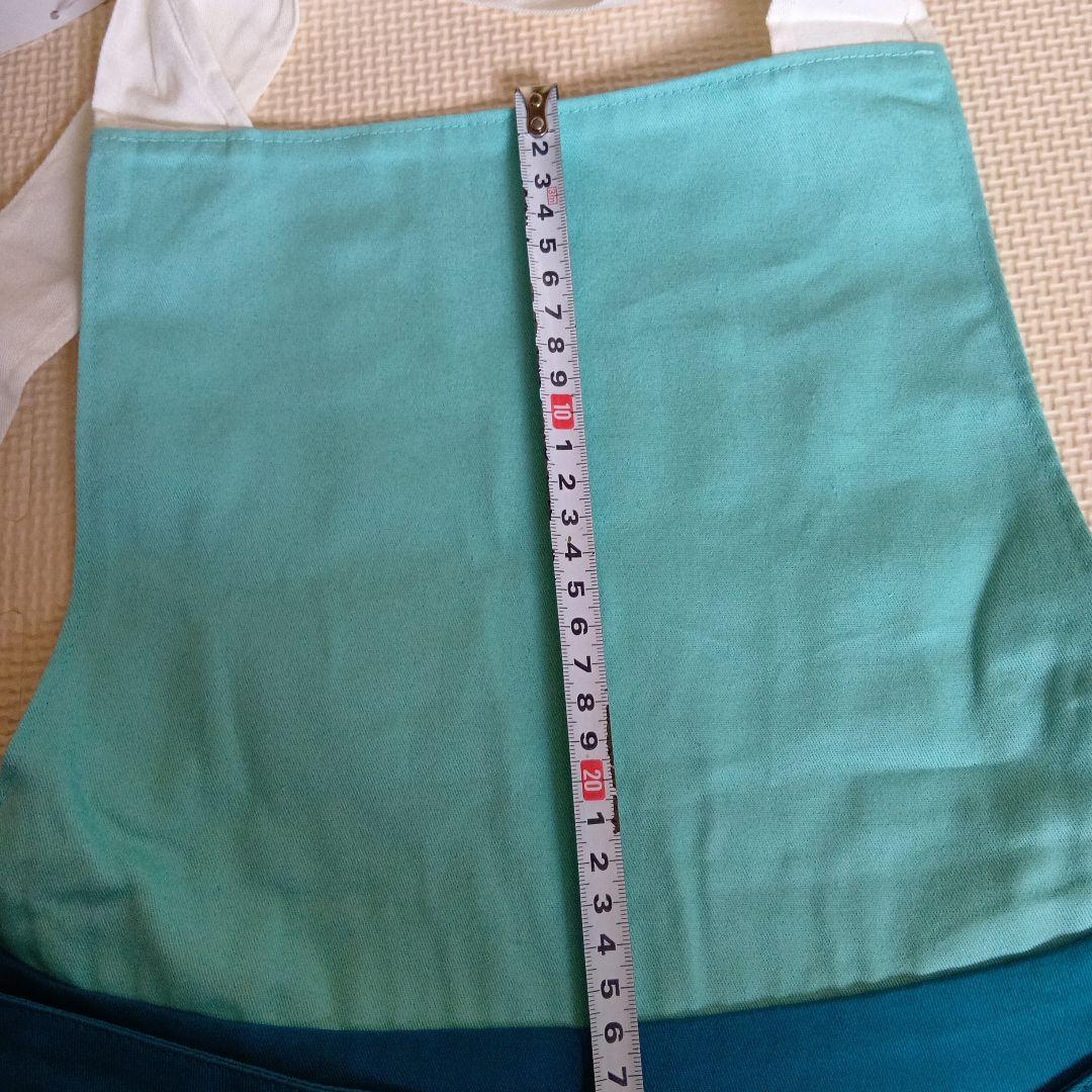 新品タグ付　ベルメゾン　レディース　大人　アナ雪　エプロン　Disney　エルサ