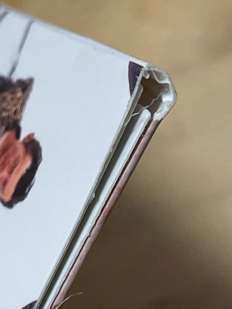 【４枚セット】　ラフィンノーズ 　CD