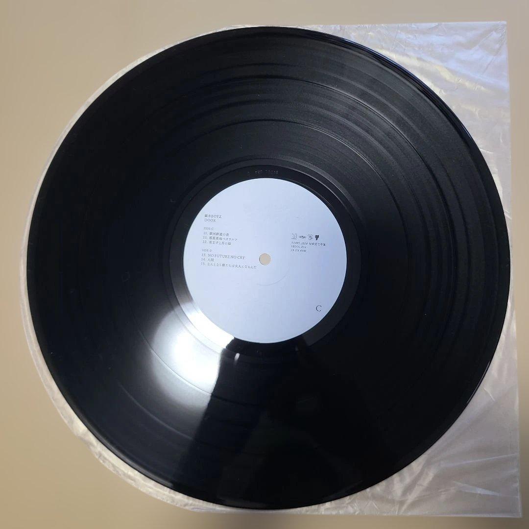 銀杏BOYZ DOOR レコード