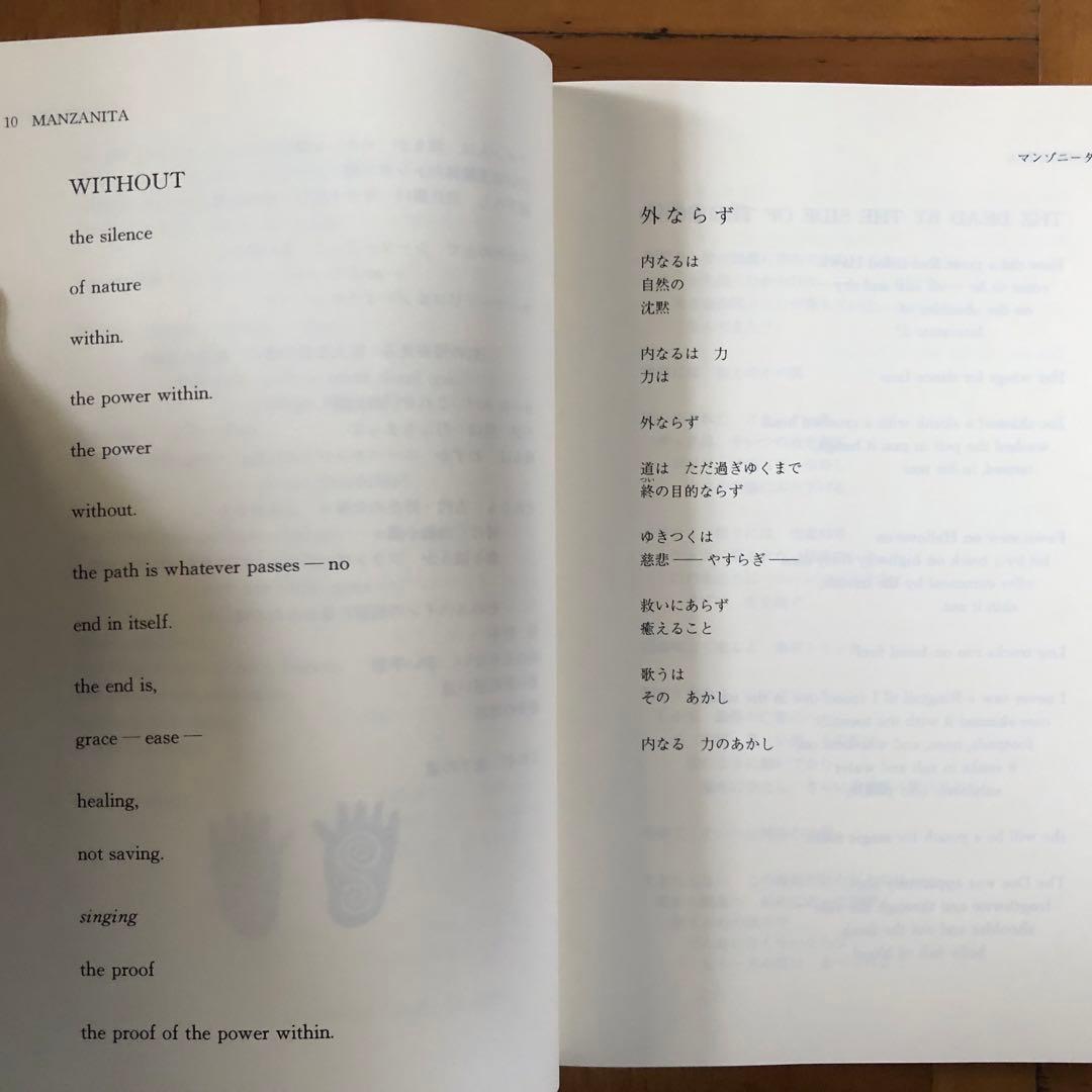 【絶版・希少】亀の島　ゲーリー・スナイダー　1991年　初版