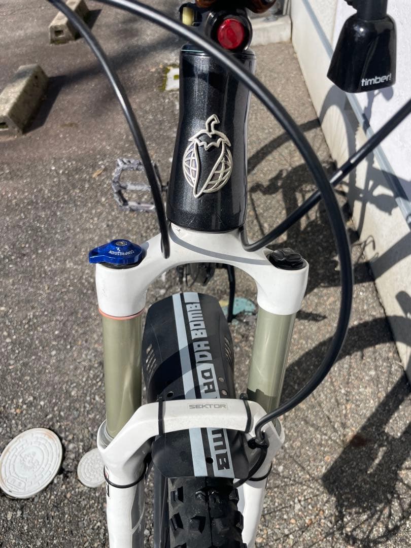 サルサ　ダウンヒル　マウンテンバイク