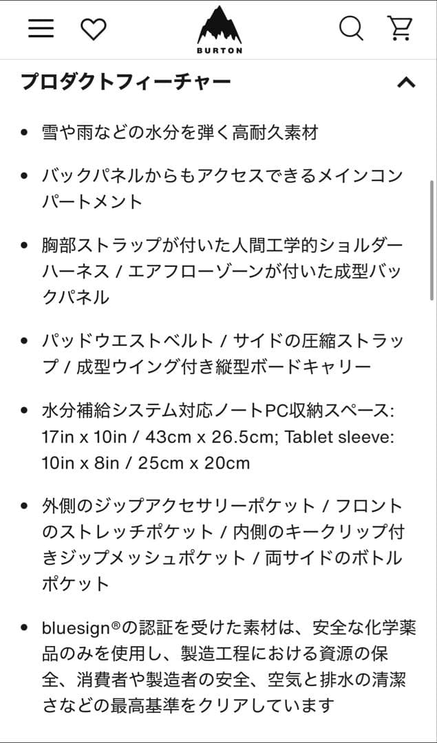 BURTON バックパック　リュック　バックカントリー