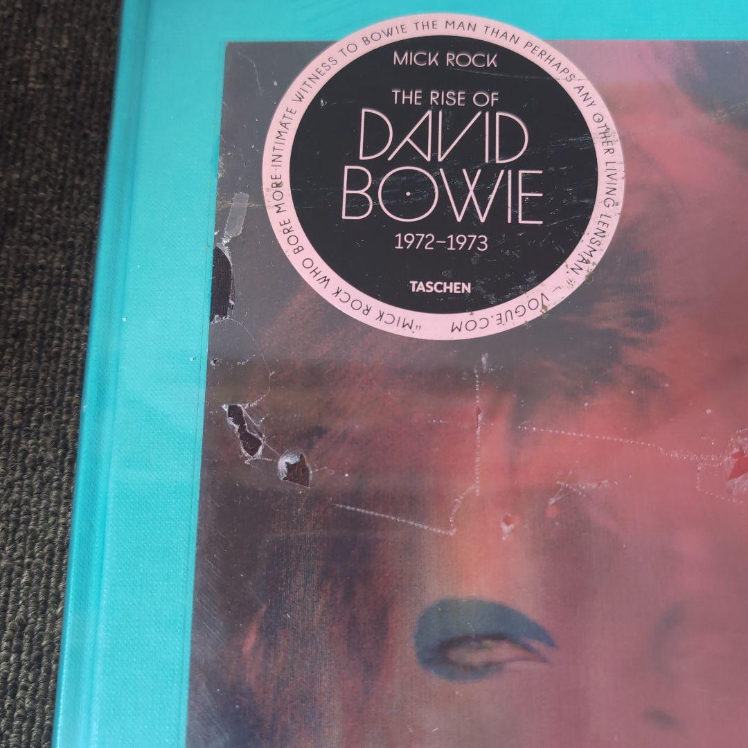アート・デザイン・音楽 The Rise of David Bowie, 1972-1973