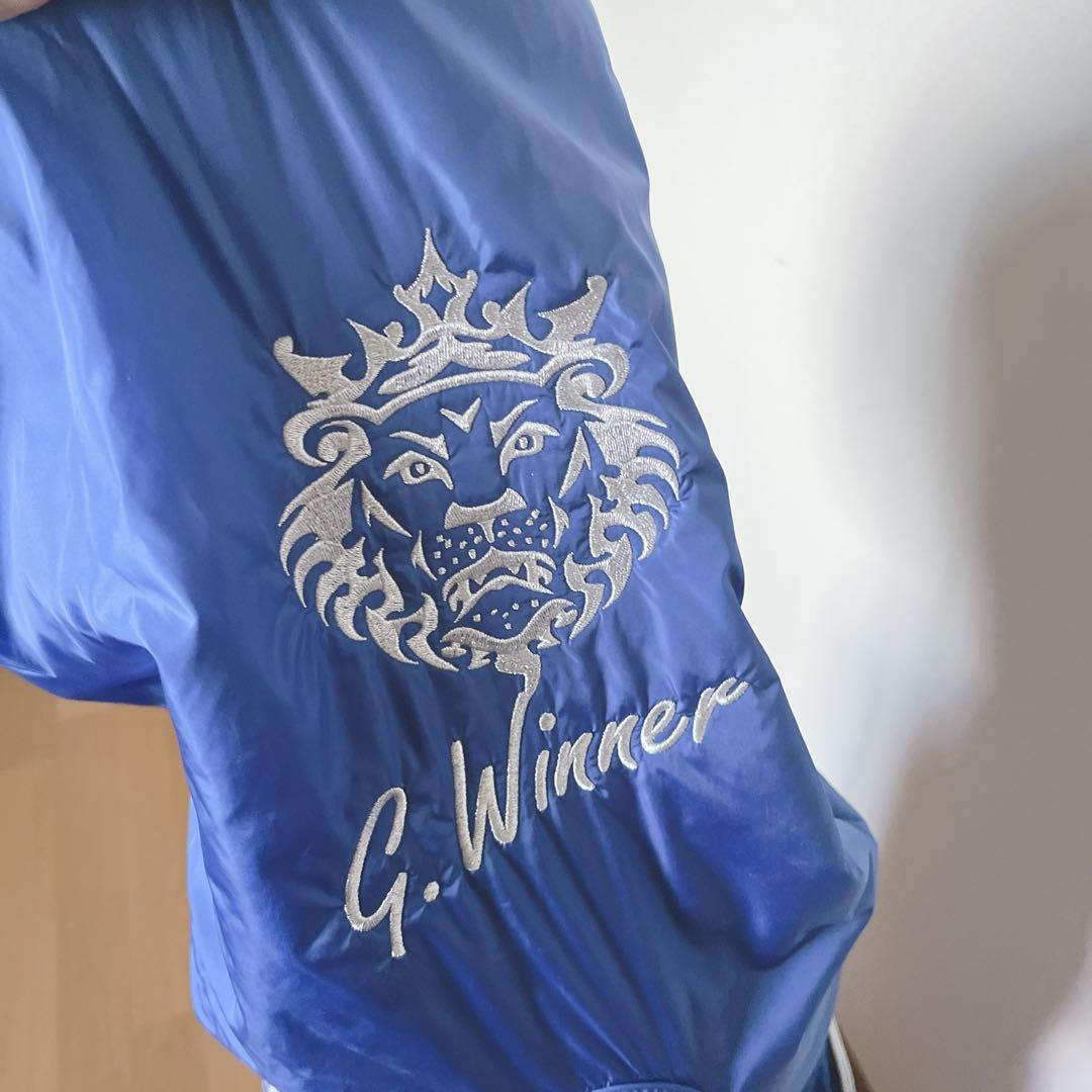 K412 ARTINN GOLF DESIGN G.WINNER キャディバッグ