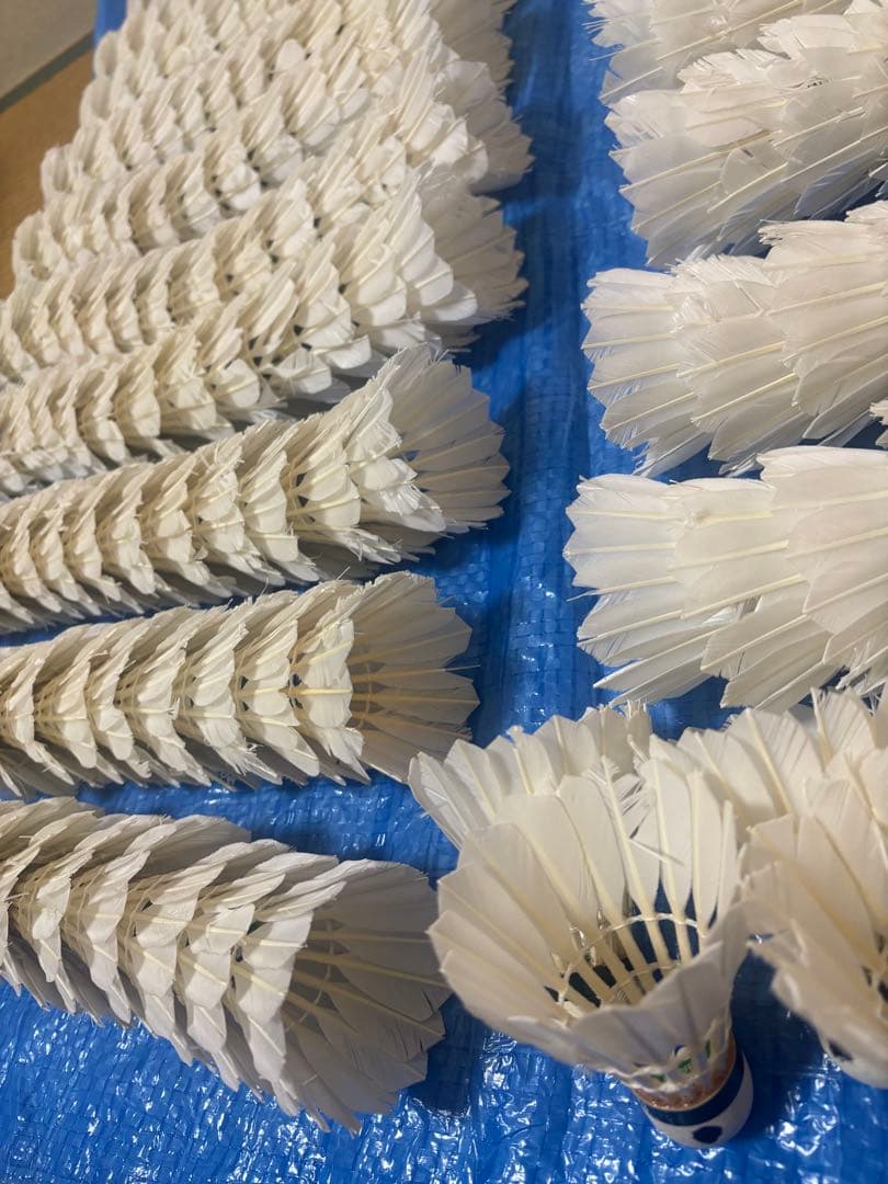 中古⭐︎ニューオフェシャルのみノック用シャトル⭐︎260球