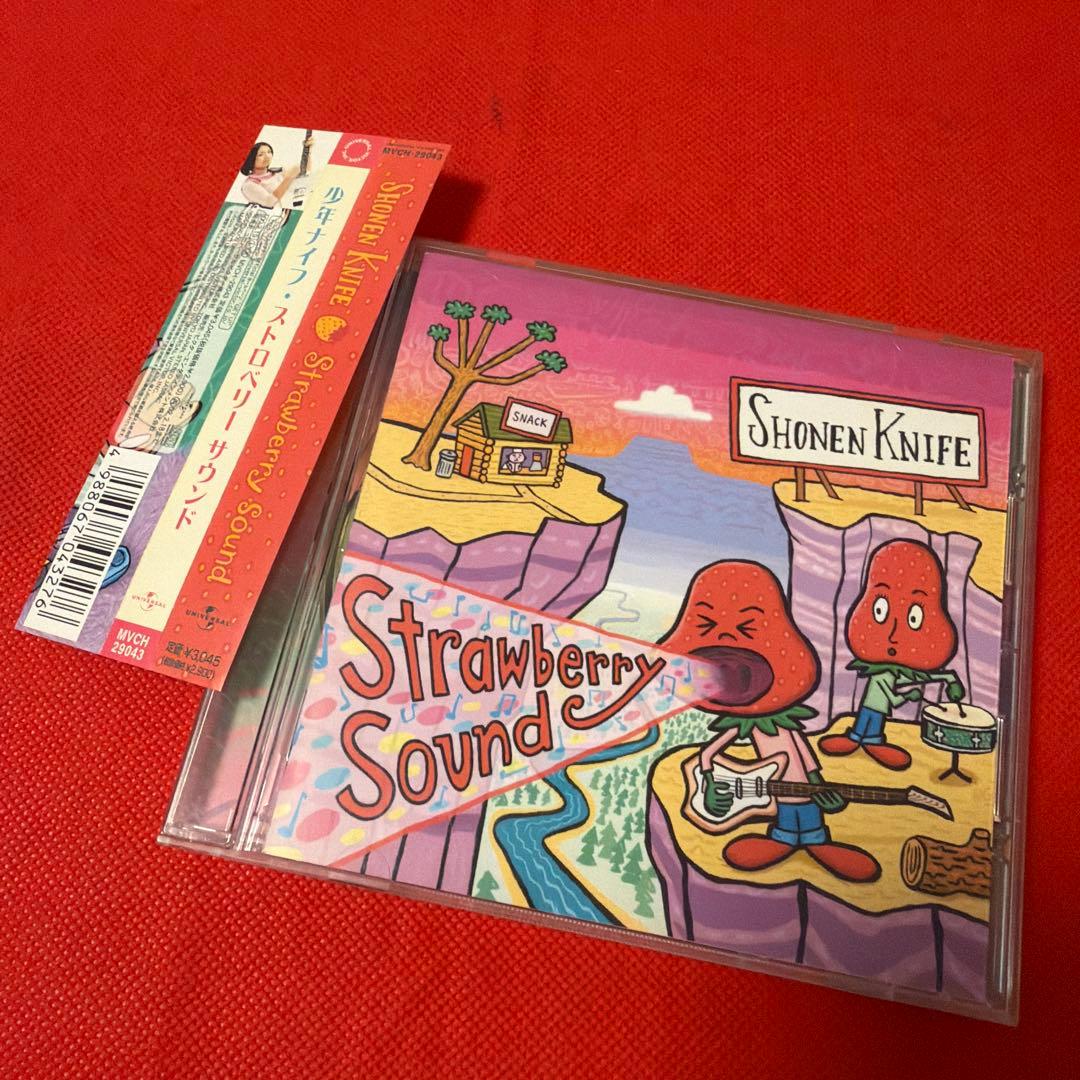 少年ナイフ　CDアルバム9枚　シングル１枚　10作品セット　まとめ売り