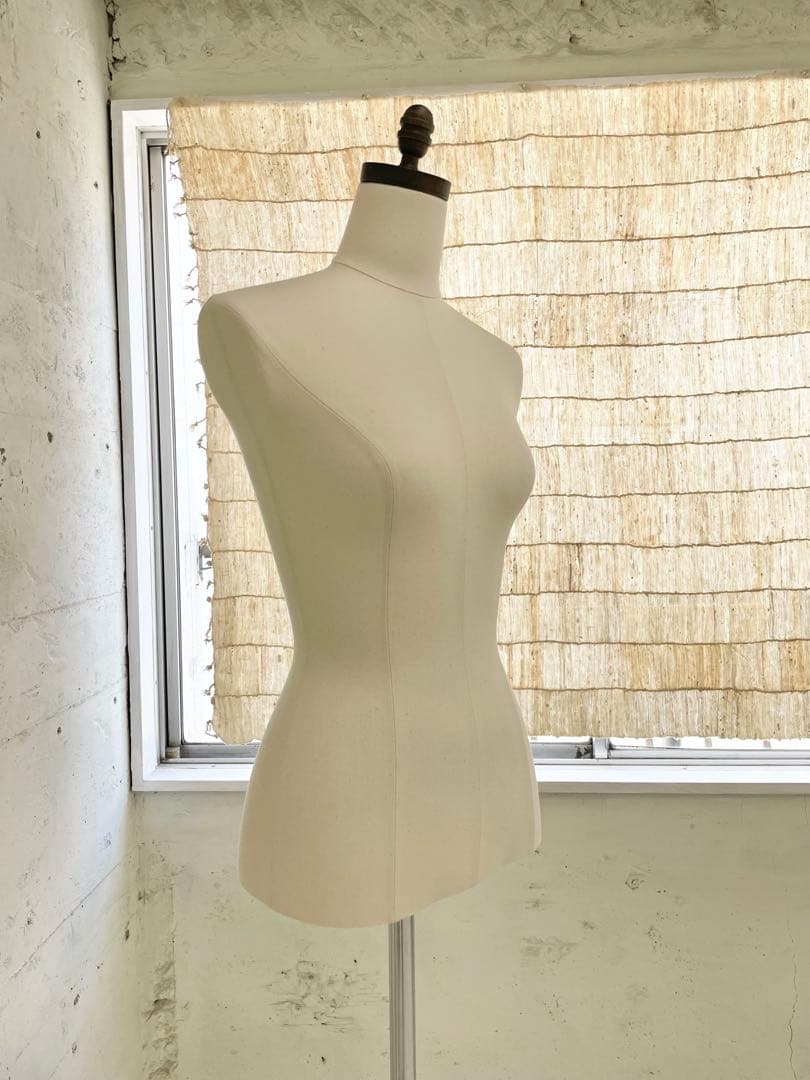 レディーストルソー　カツラギ張