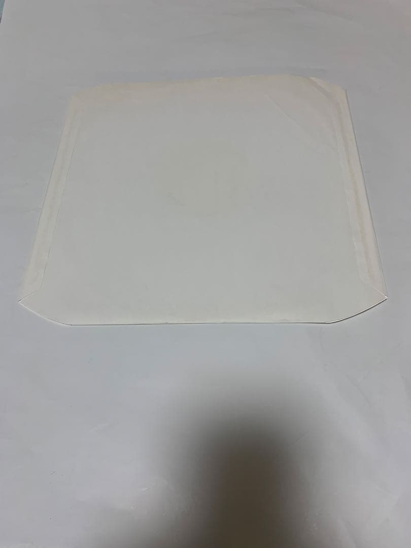 THE STONE ROSES TURNS INTO STONE レコード