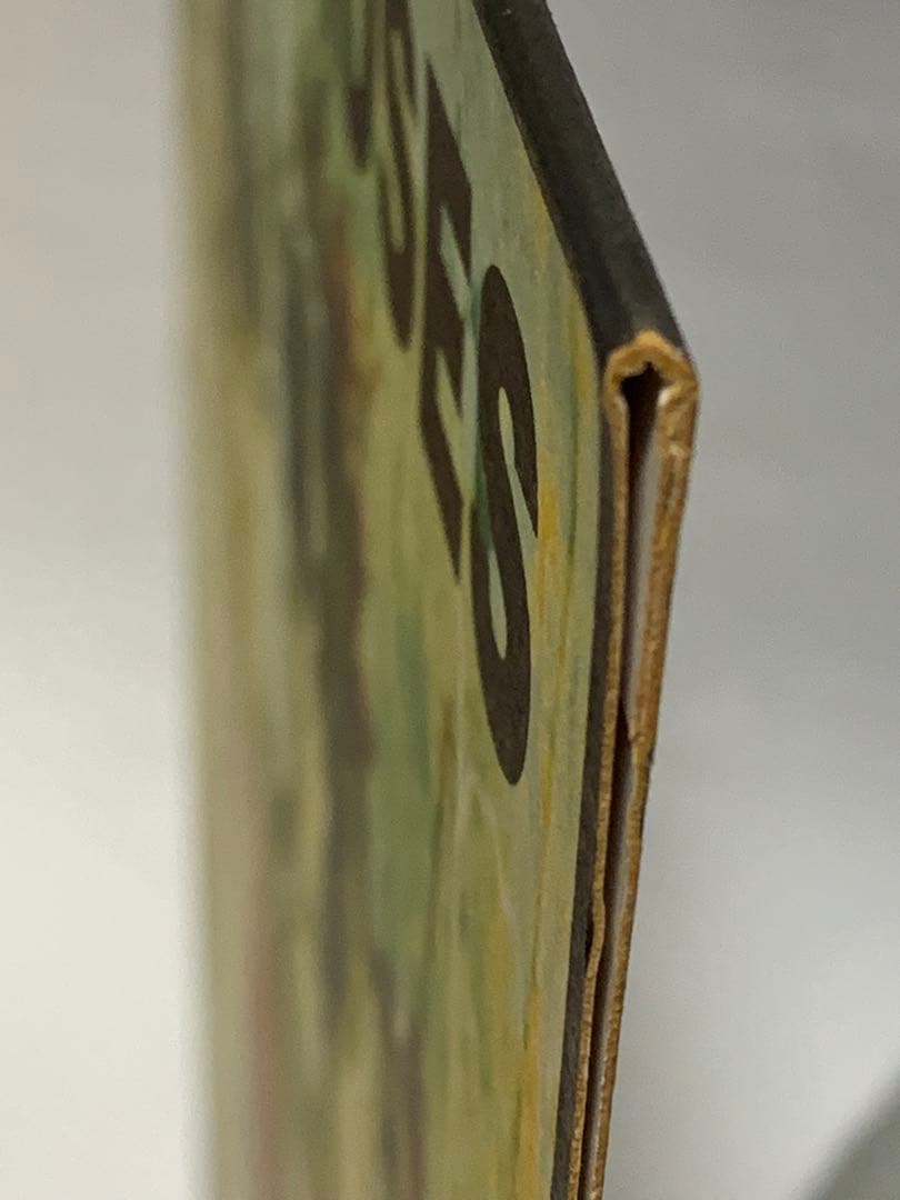 THE STONE ROSES TURNS INTO STONE レコード