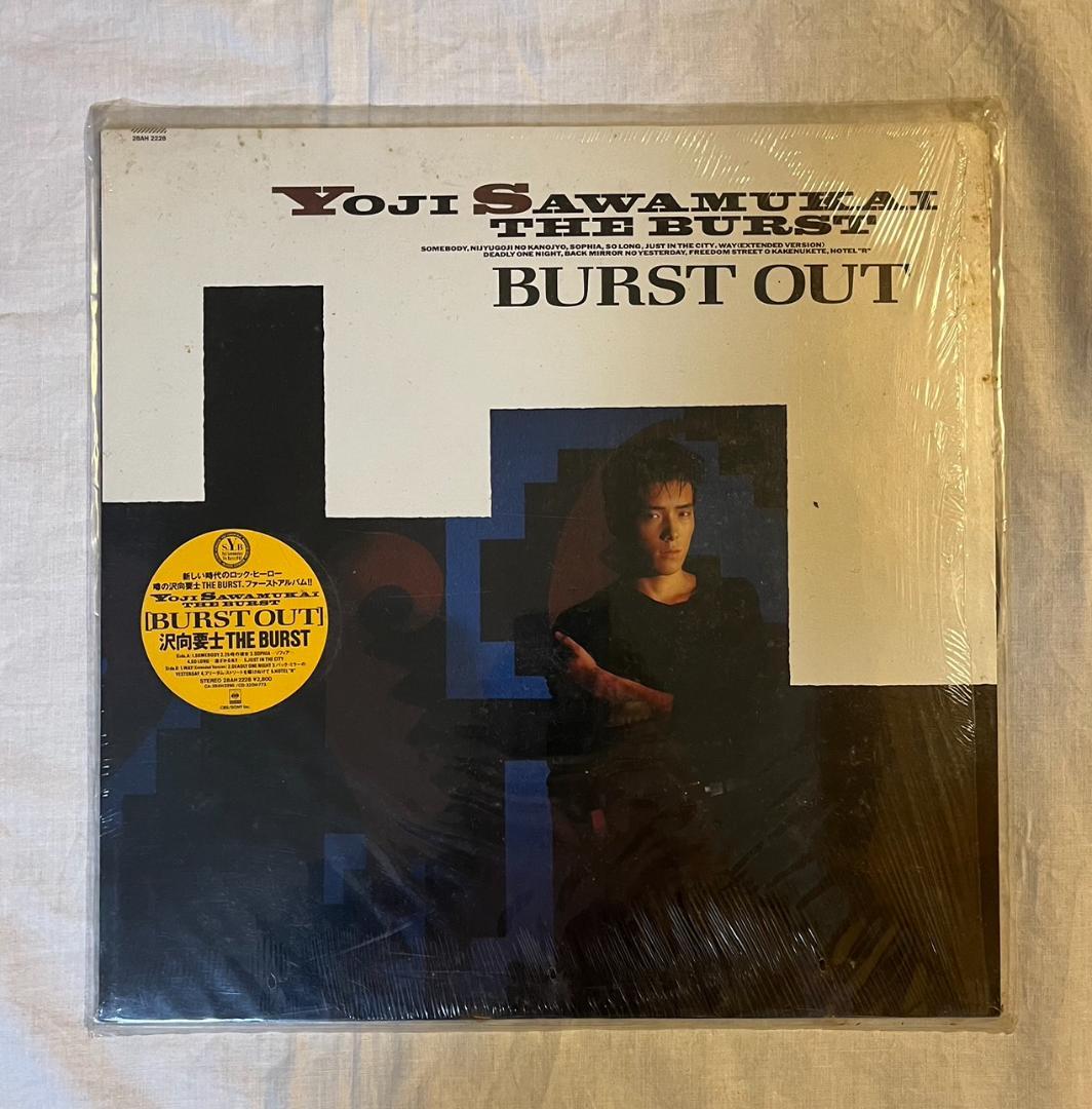 【専用】アナログレコードまとめ売り11枚　息っ子クラブ/岩城憲/沢向要士