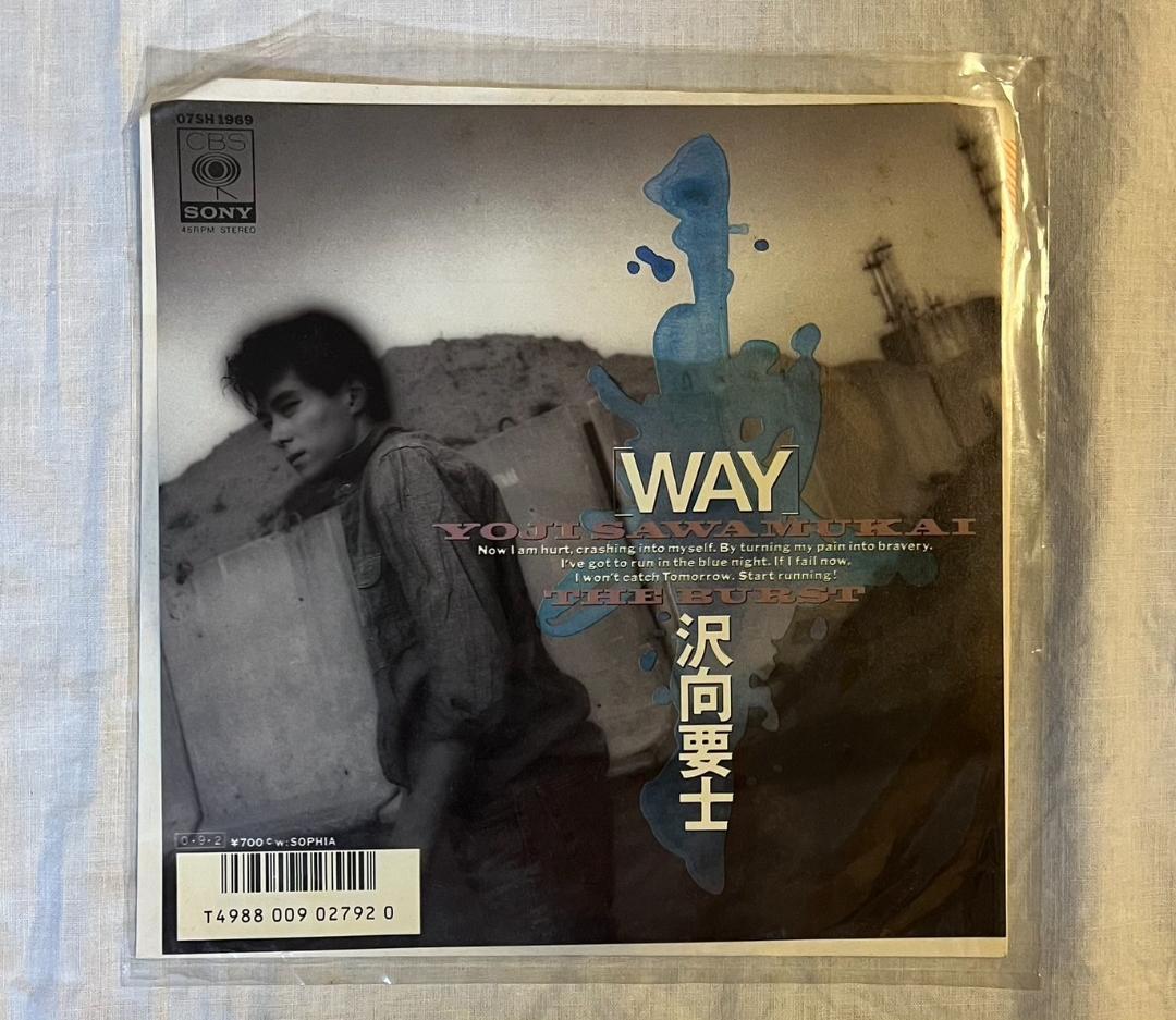 【専用】アナログレコードまとめ売り11枚　息っ子クラブ/岩城憲/沢向要士