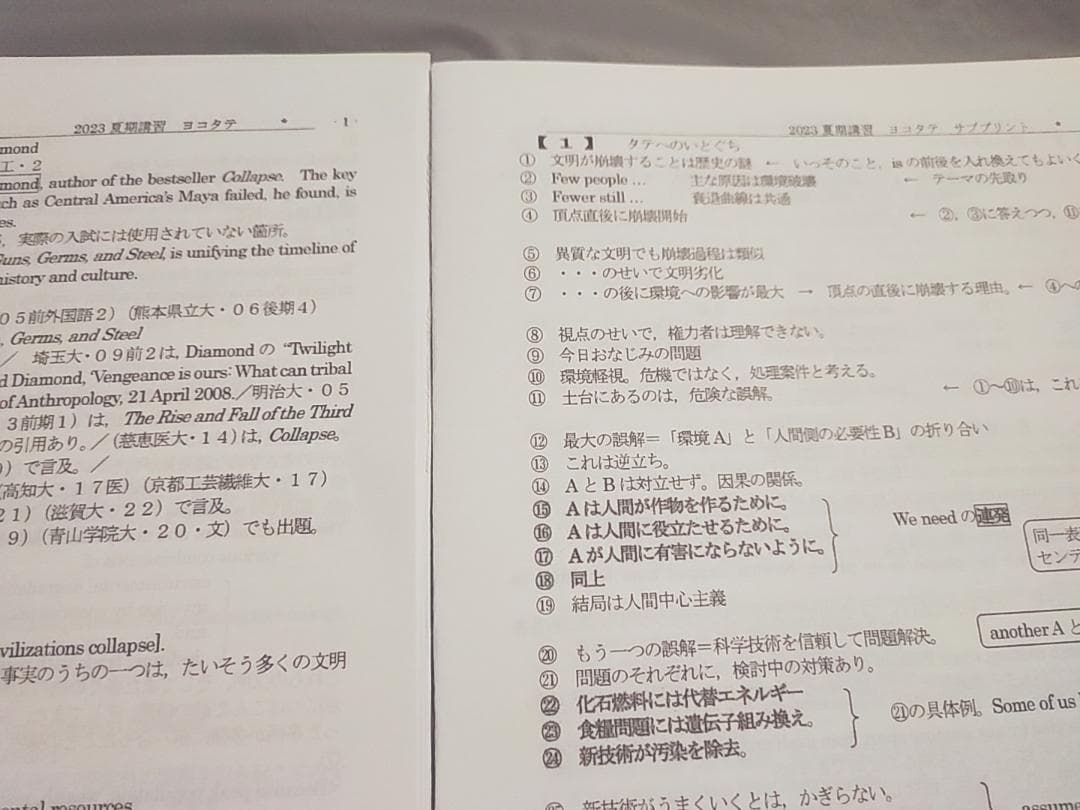 駿台　英文読解ヨコからタテヘ　23年　大島先生　プリント問題セット　鉄緑会河合塾