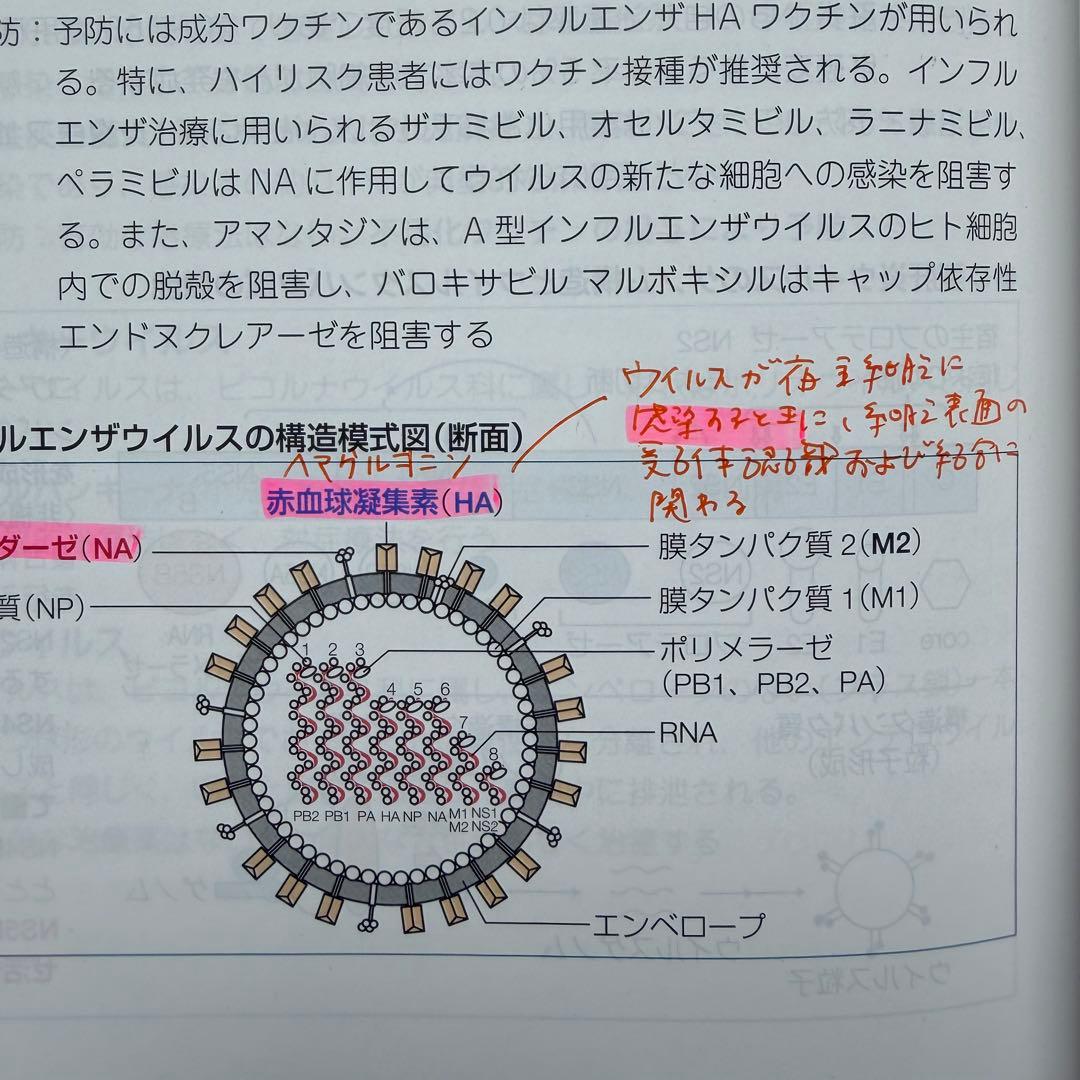 第111回 青本・青問 全巻セット