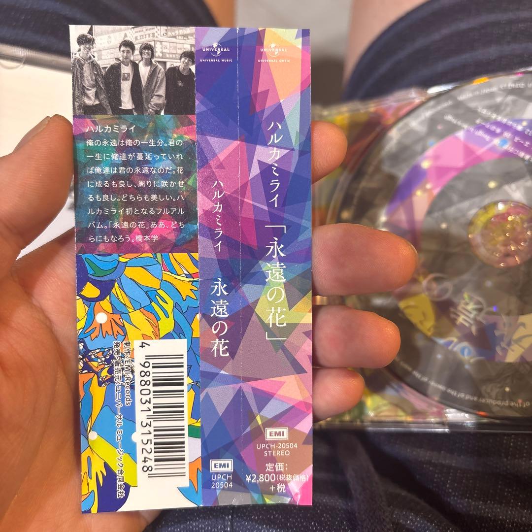 ハルカミライ CD EP アルバム DVD付き初回限定盤 セット