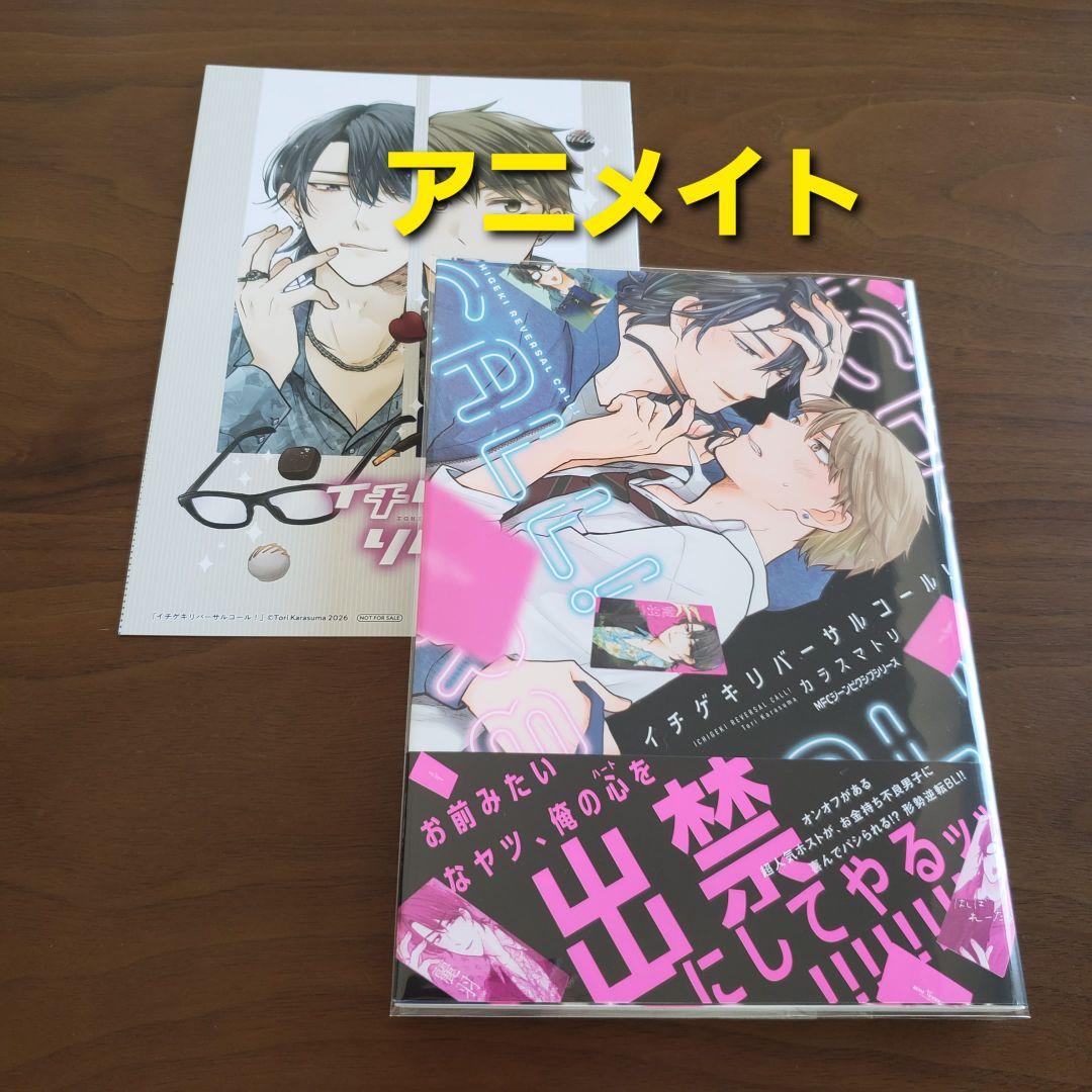 【専用出品　猫又様】宅急便　計19冊