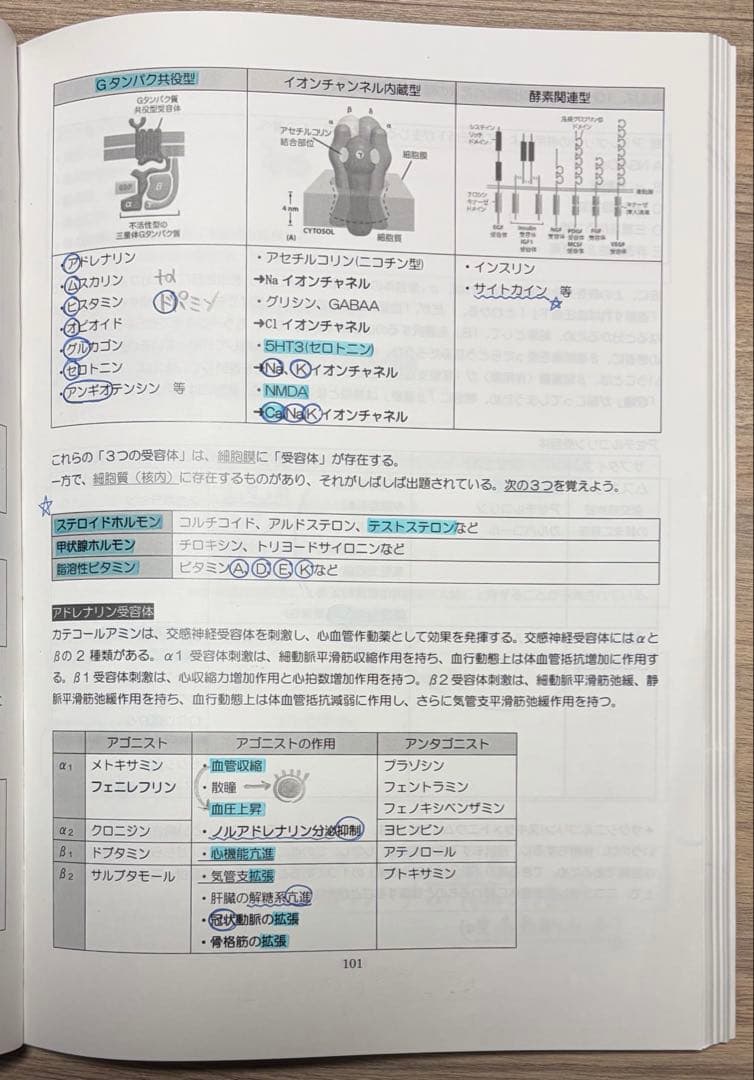 歯科医師国家試験 ロムニーハウス 必修 Winning Note 119
