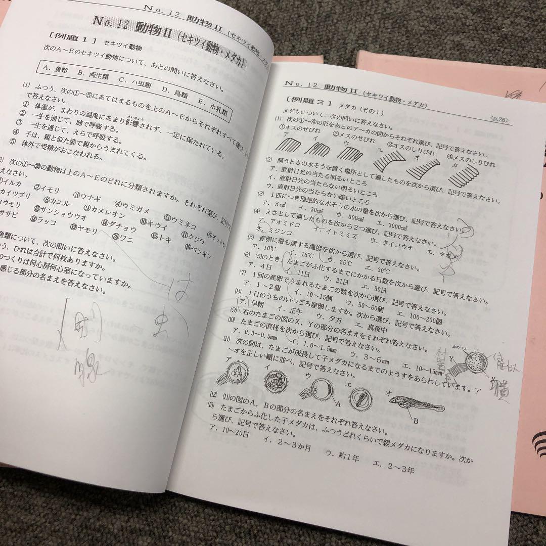 浜学園　小6理科　最高レベル特訓　風林火山　中古