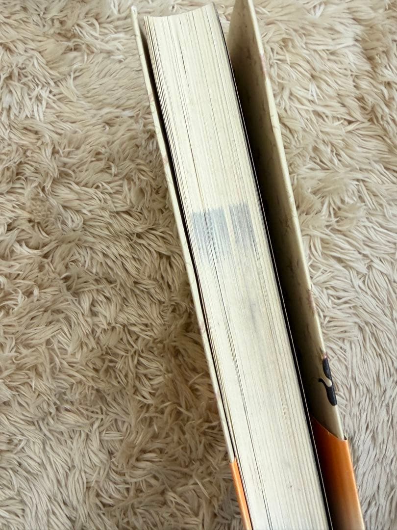 【絶版】秘密のジオマンシー占い