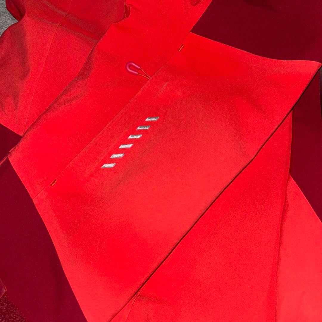 ゴールドウィン スキーウェア上下　レディースL