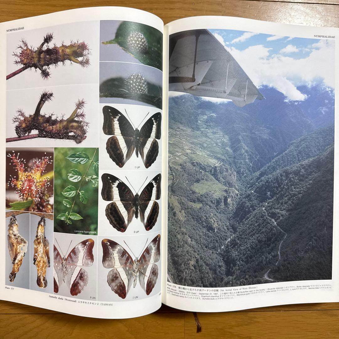 アジア産蝶類生活史図鑑 2