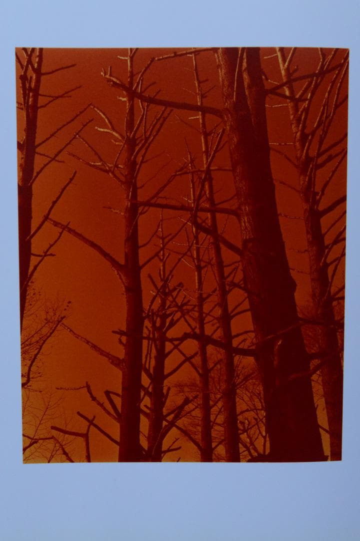 【Trouble in mind　佐内正史】サイン入り　★★新品同様・美本