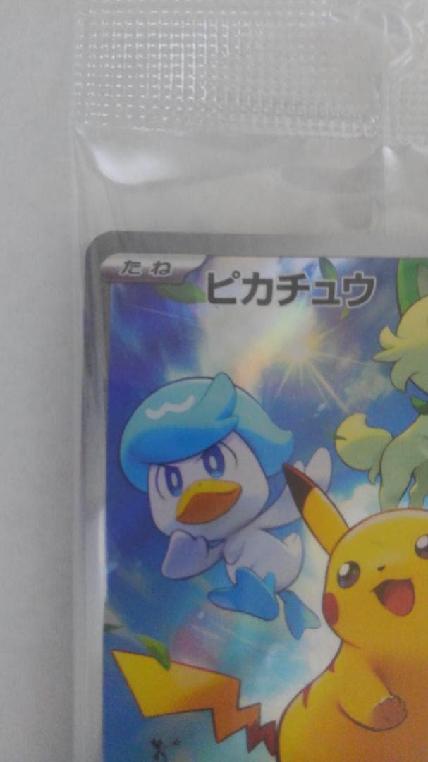 じょうポケモンレジェンズ＋ポケカ みんなでぼうけん