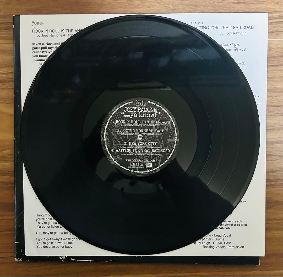 「…ya know?」Joey Ramone レコード