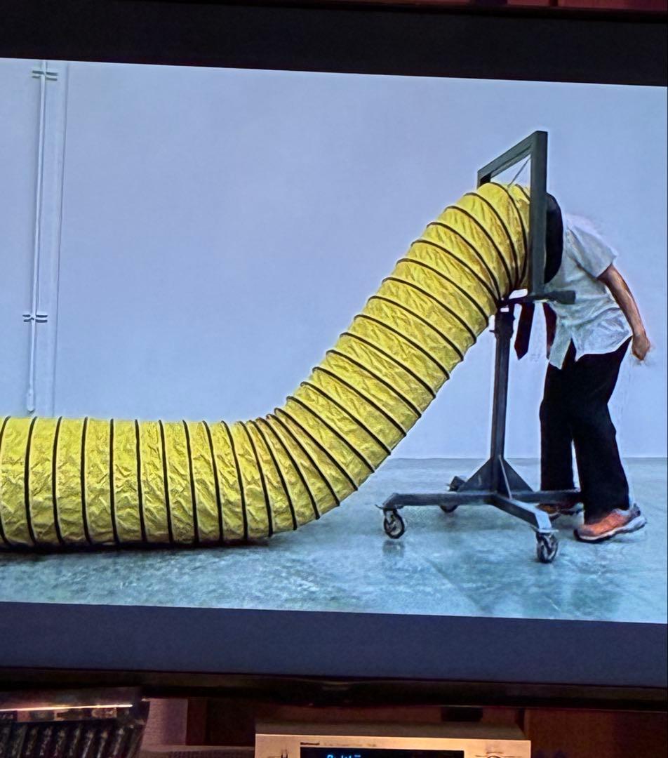 ミュージック The Work of Directors DVD