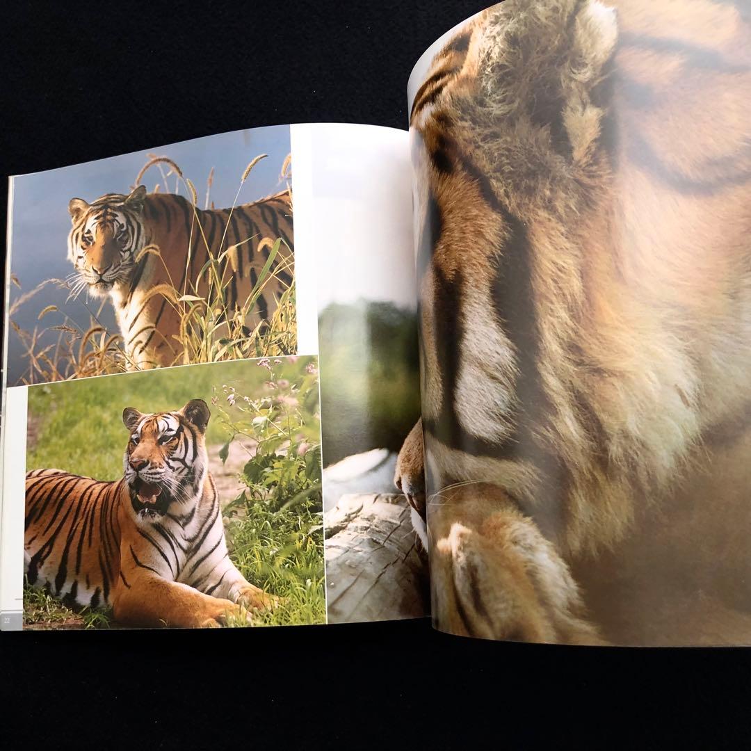 アムールトラ（シベリアトラ）写真集「東北虎 上・下巻」2冊セット 刘丹 撮影