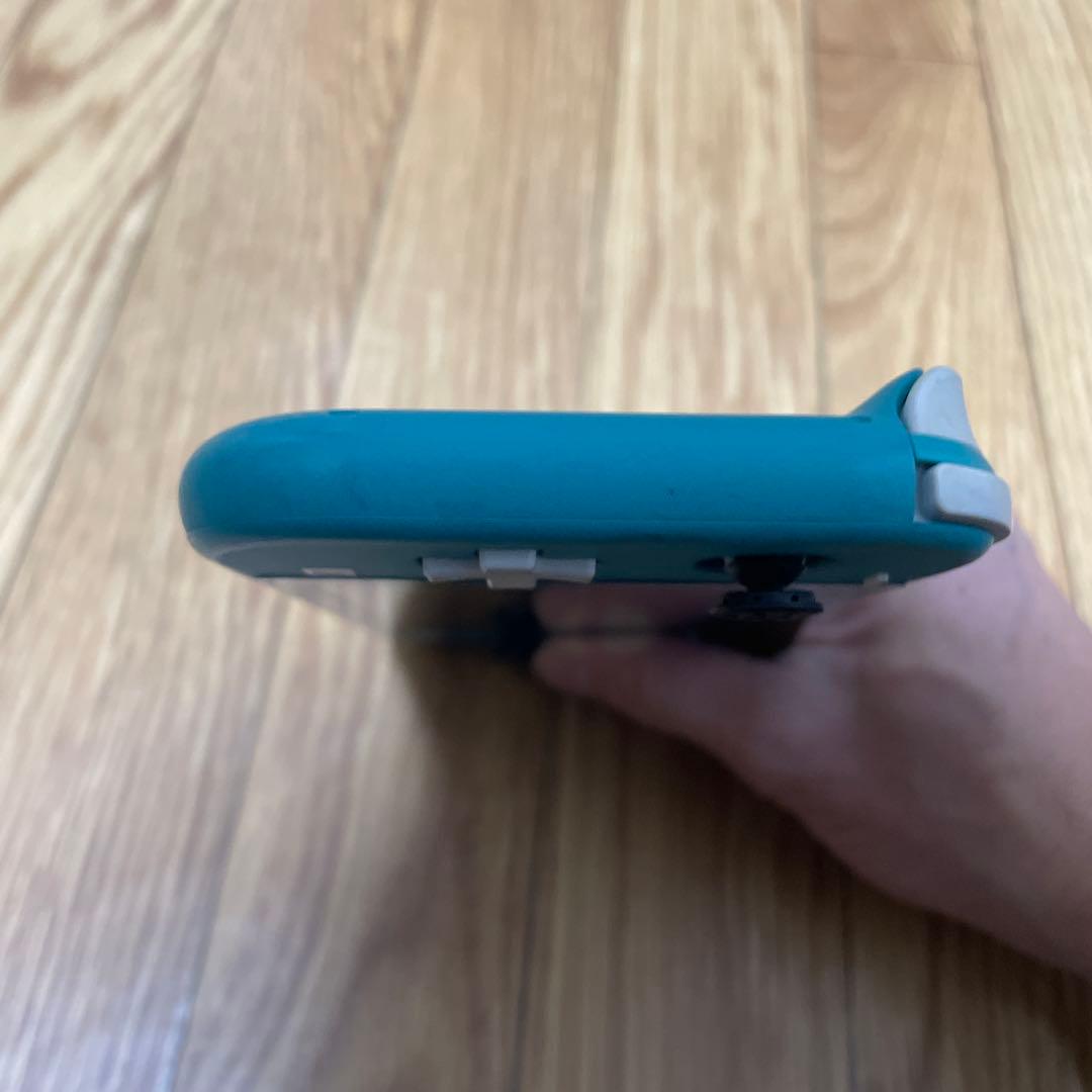 ジャンク　本体のみ動作確認済みNintendo Switch Lite