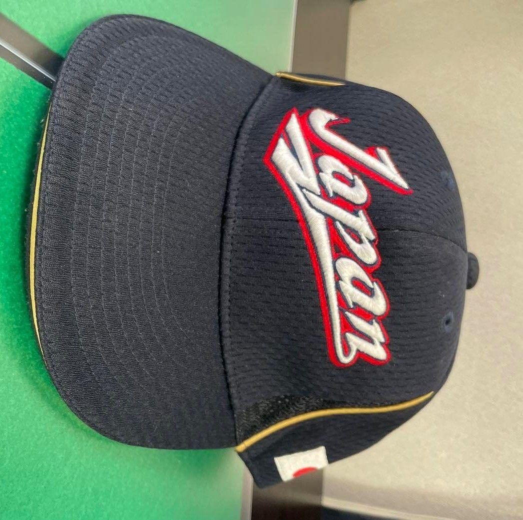 JAPAN プロコレクション MIZUNOPRO ジャパン 日本代表 ミズノプロ