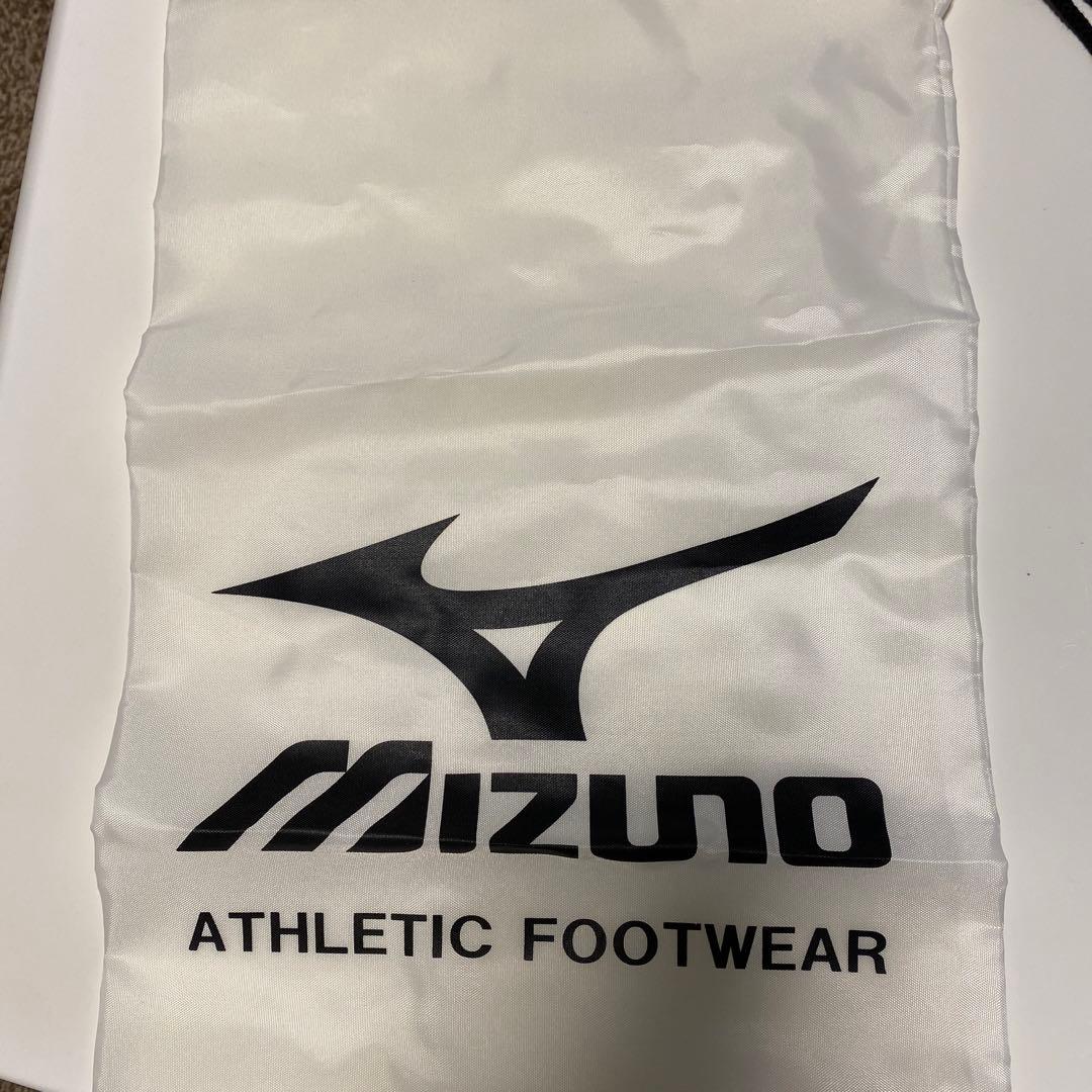 3/15迄値下げ 新品モレリア2 ブルー　復刻　26.0cm