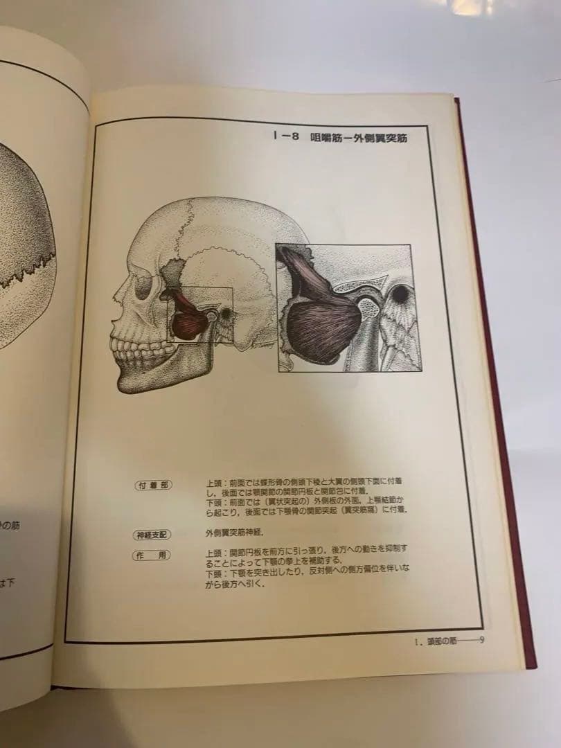 【匿名発送】チャートブック　骨格筋の解剖 エンタプライズ　川原群大編著