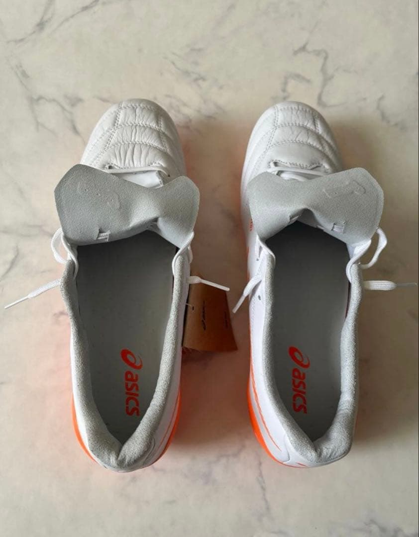 アシックス DS LIGHT X-FLY5 新品未使用タグ付き29cm