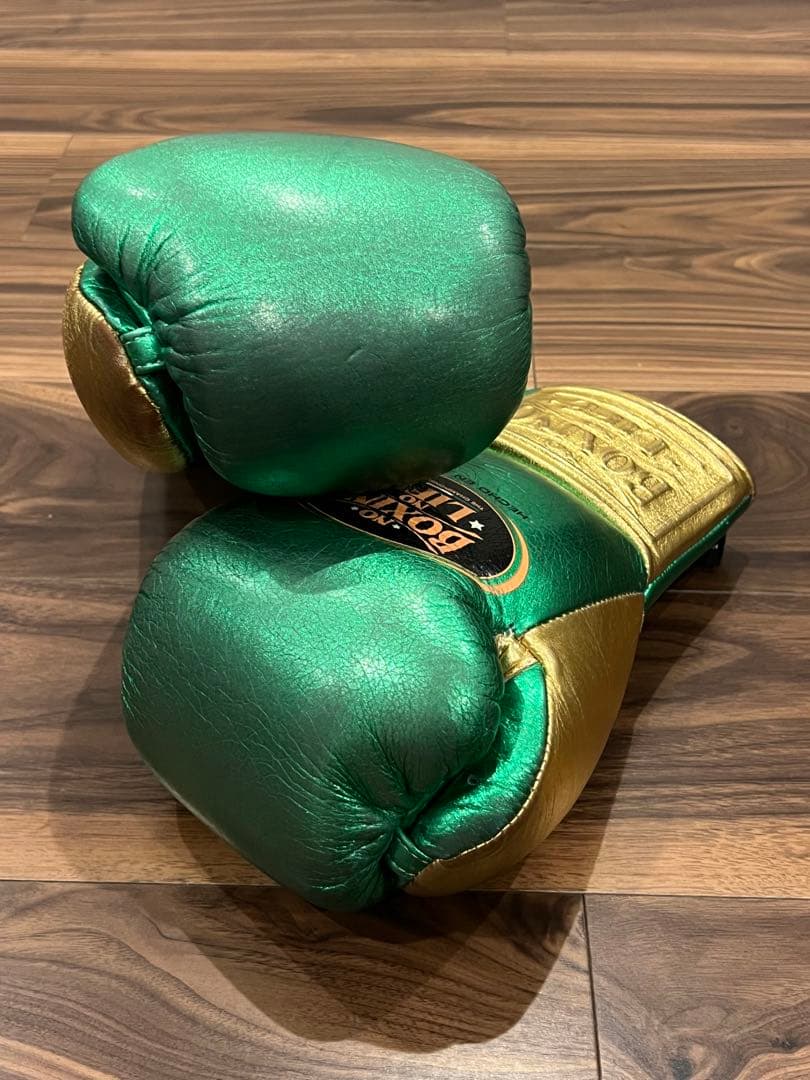 NO BOXING NO LIFE ボクシング グローブ カネロモデル 10oz