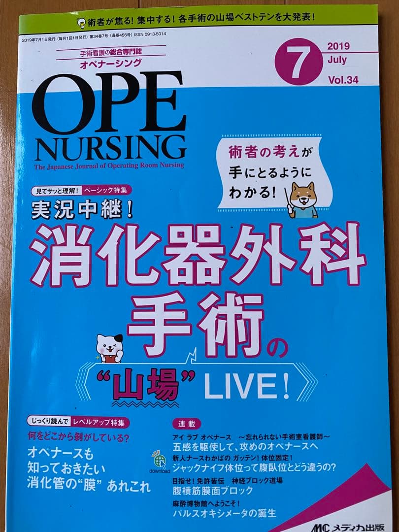 美品　お得　オペナーシング2019年分12冊セット