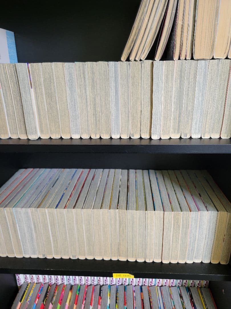 ワンピース１１１巻セット+おまけ