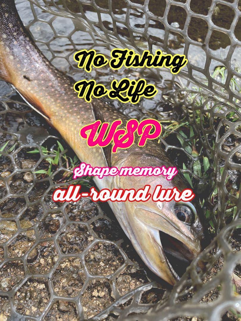 【圧倒的釣果主義】wspトルネード 爆釣ルアー　形状記憶完全ローテーションセット