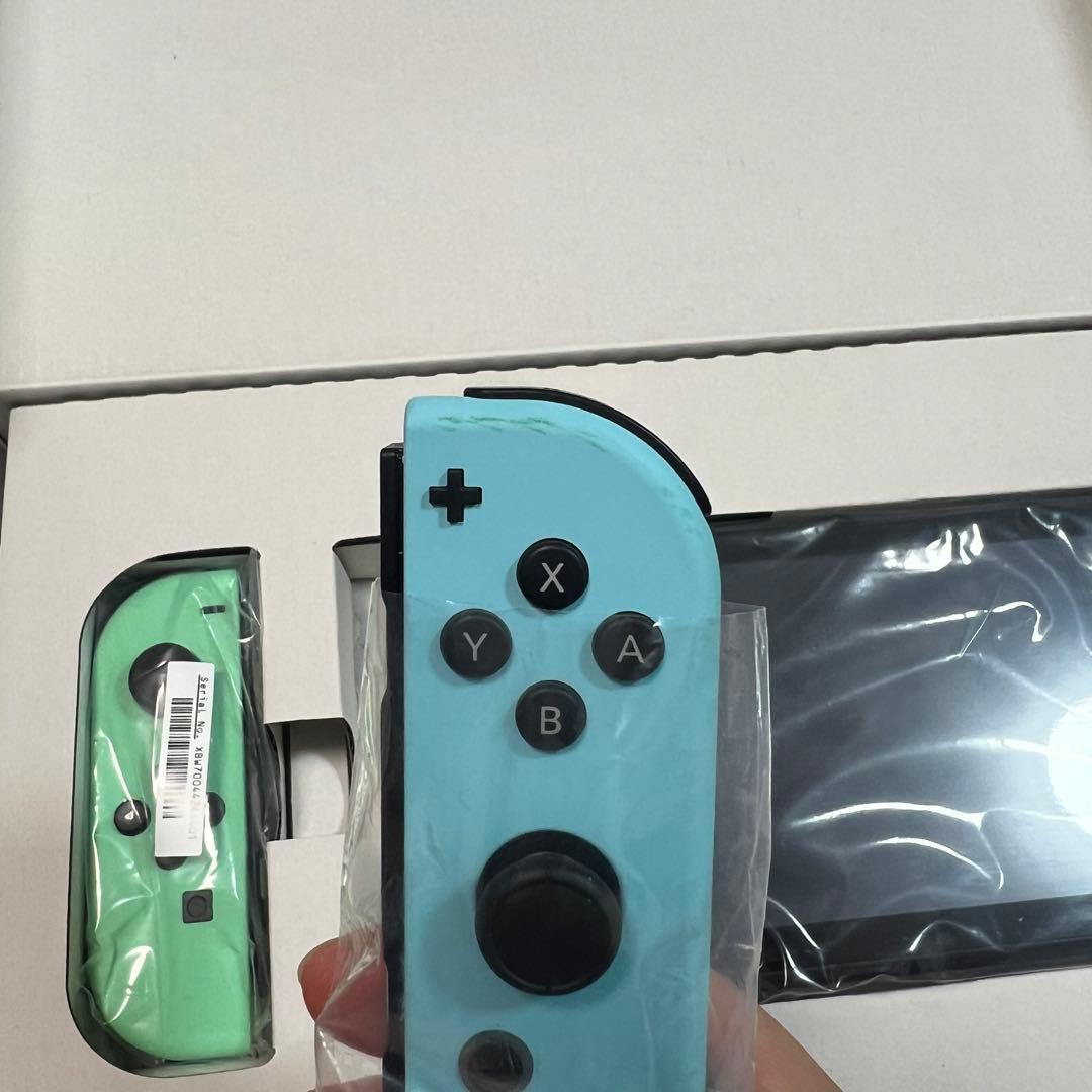 Nintendo Switch あつまれどうぶつの森セット おまけカセット付き