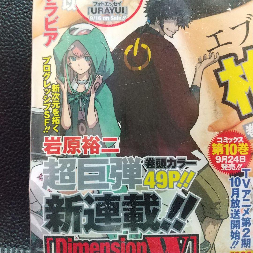 ヤングガンガン 2011年19号※柏木由紀グラビア　ピンナップ※相楽樹 菅野結以