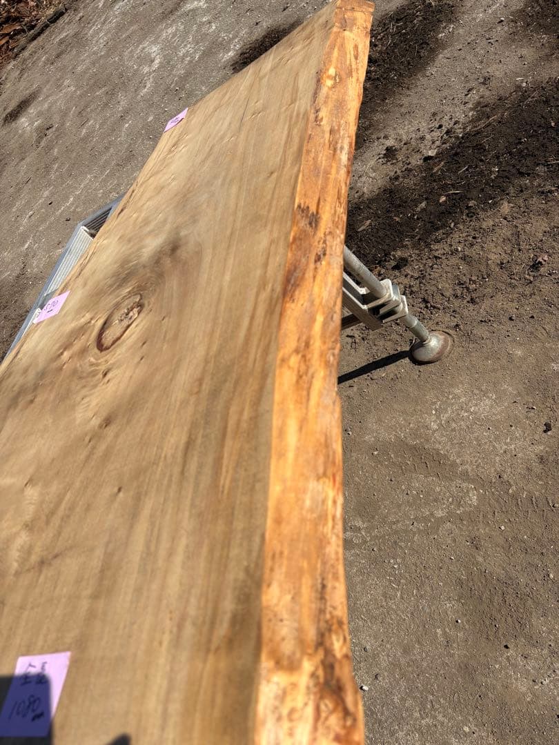 天板　無垢材 ポプラ　1枚板　サイドテーブル　天然木