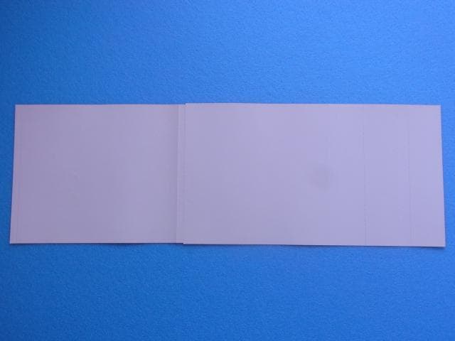 非売品　ホラーアクション コワイシャシン 心霊写真奇譚　プレイステーション　PS