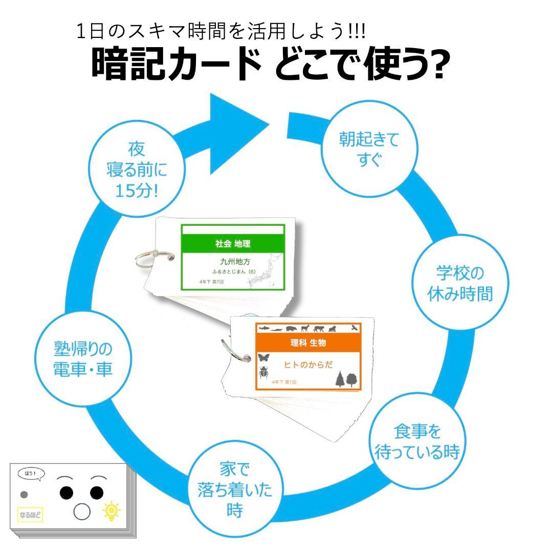 中学受験 暗記カード【理科 生物 全セット】小学5年生が最適