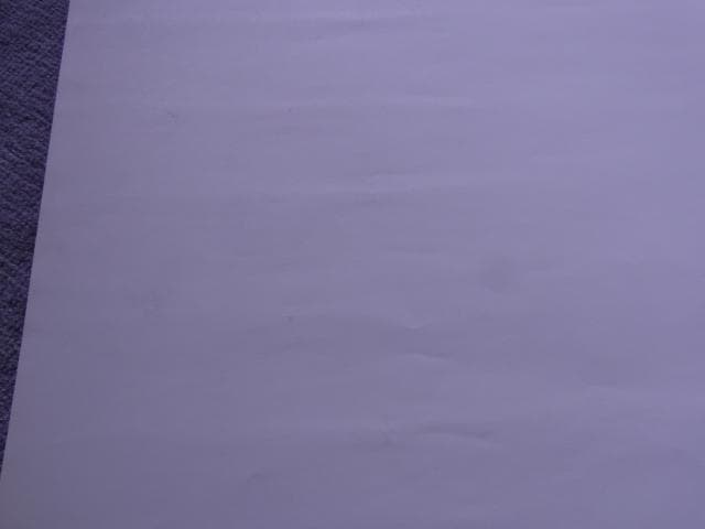 未使用品　非売品　ポスター　ロードス島戦記 DIEDLIT　ディードリット