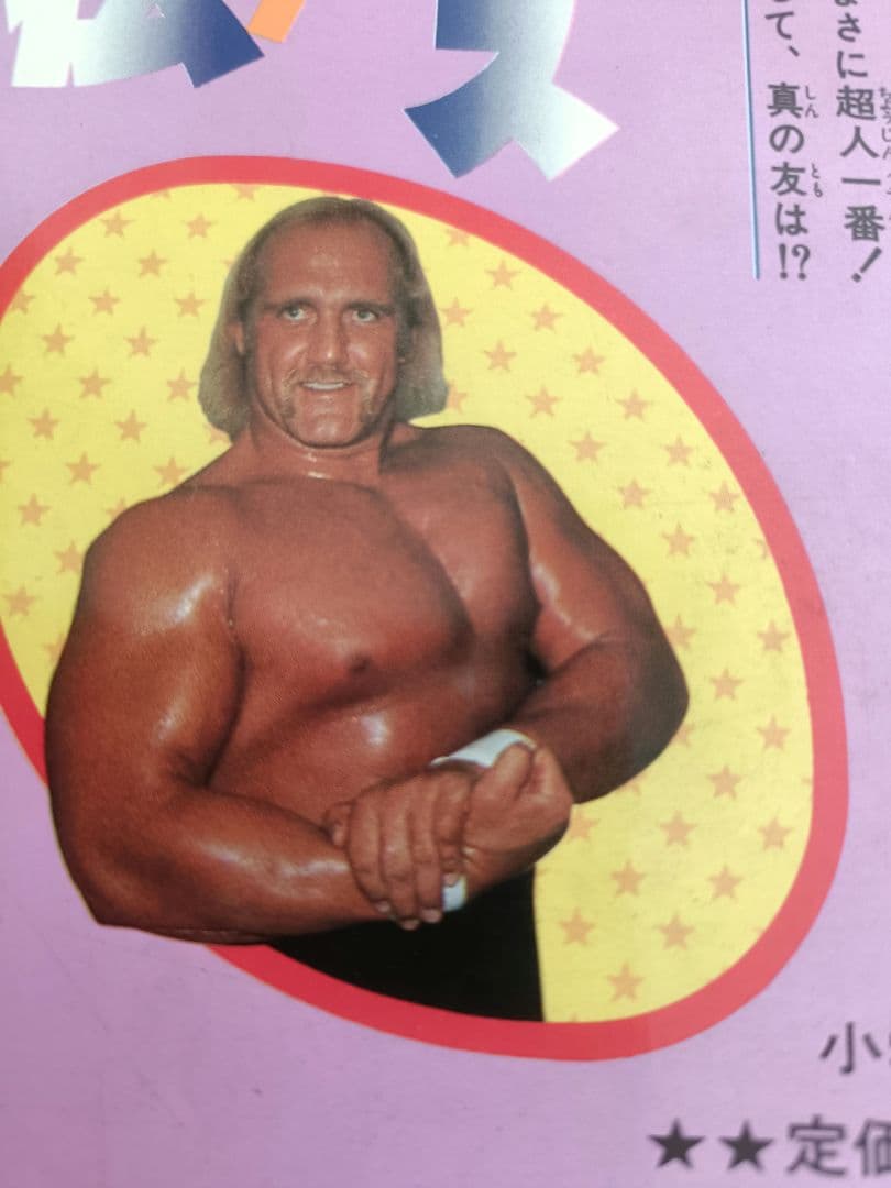 プロレススーパースター列伝　全17巻