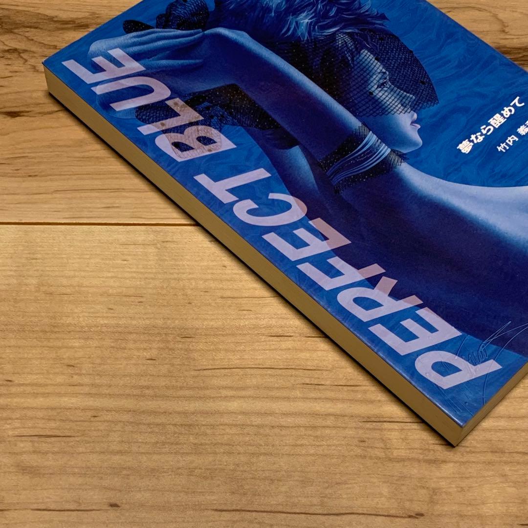 初版 今敏監督 パーフェクトブルー竹内義和 夢なら醒めてPERFECT BLUE