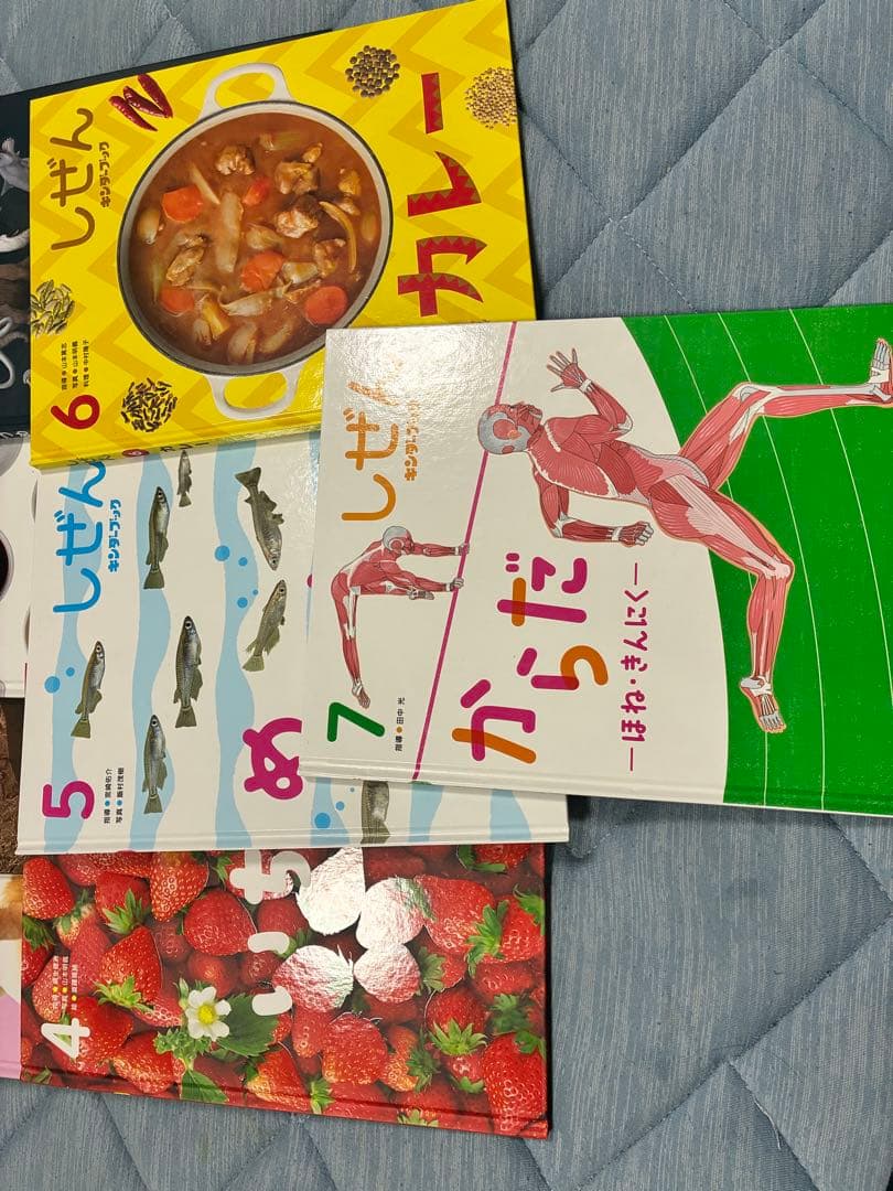 キンダーブック　しぜん　24冊　2020年度 2023年度　美品